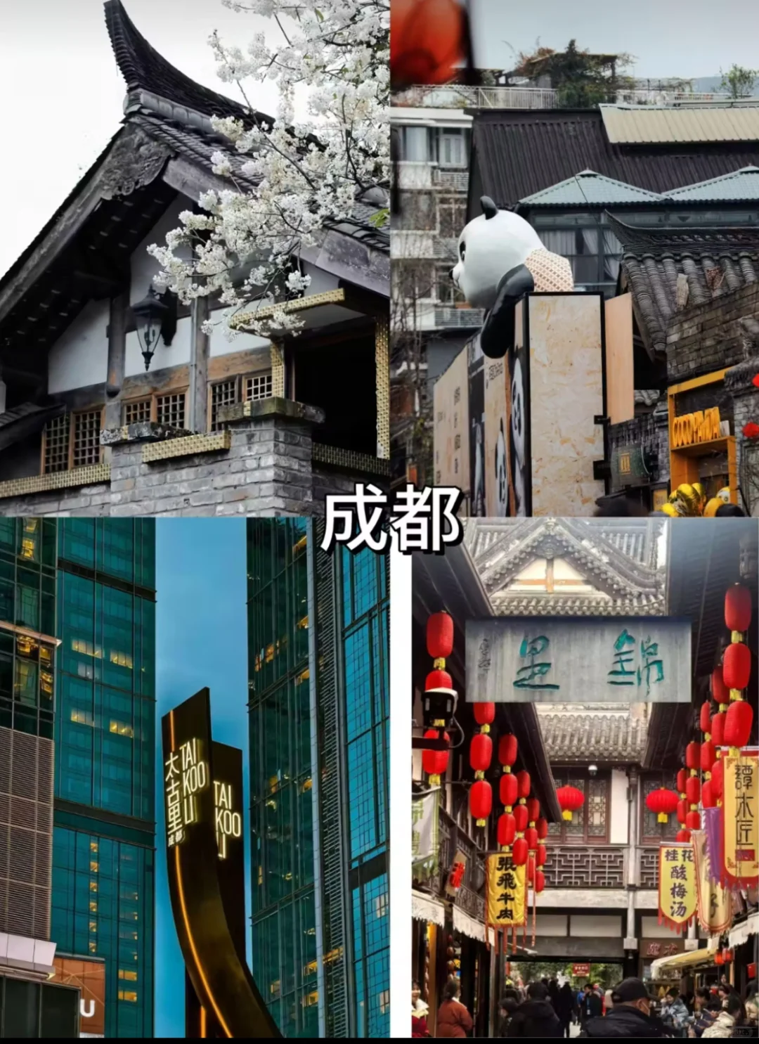 🌸4-5月就去这里💓适合自由行5⃣️个旅行地