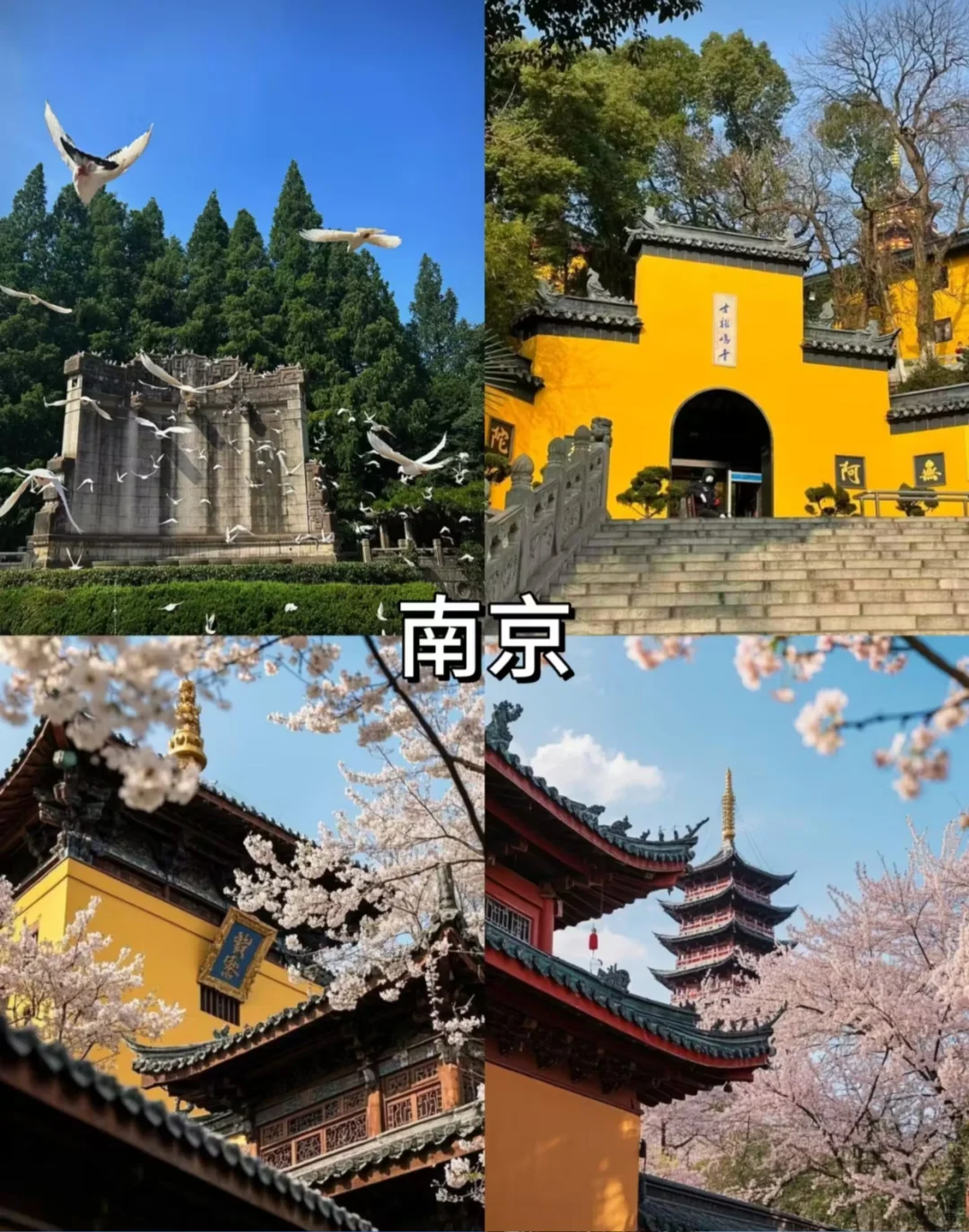 🌸4-5月就去这里💓适合自由行5⃣️个旅行地