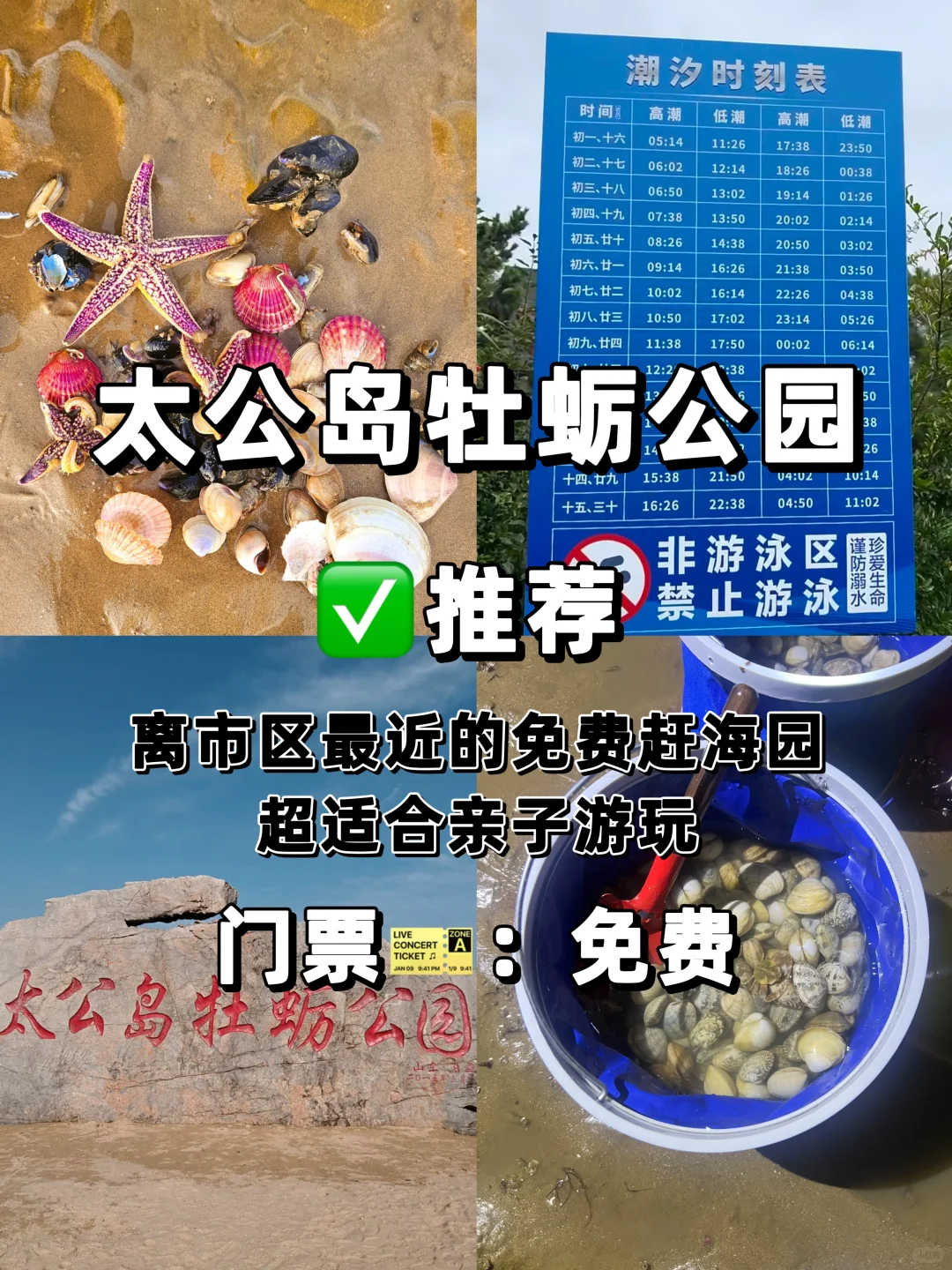 愿每个来日照旅游的人都能刷到这篇避坑指南