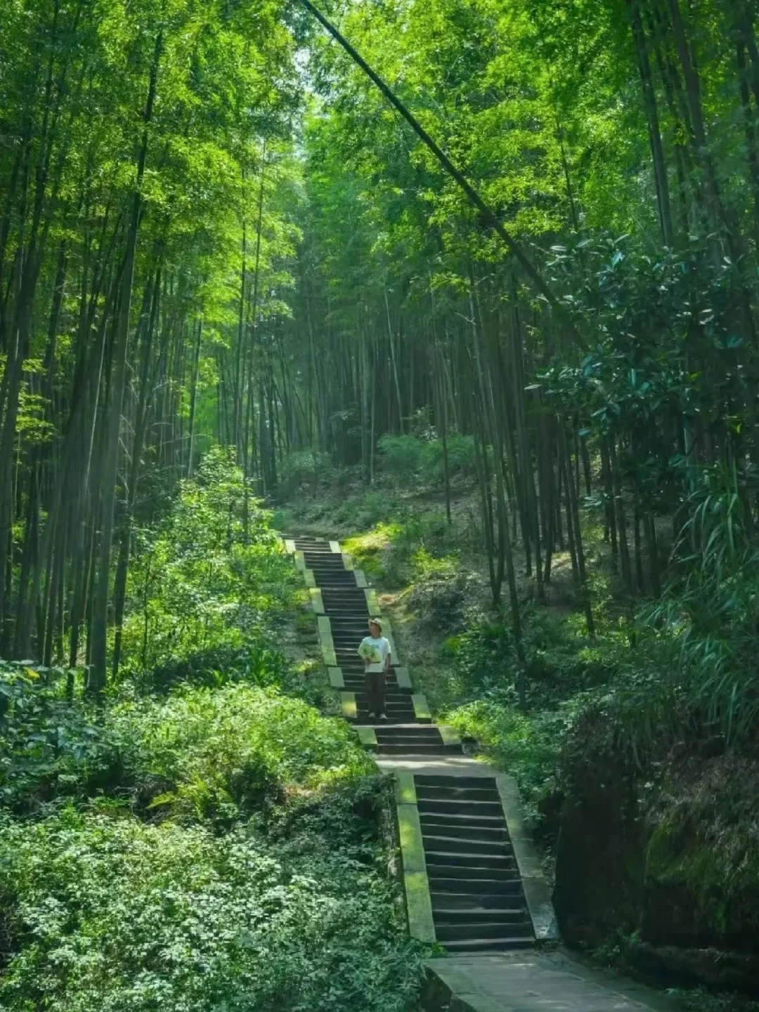 2025年4月全国“免门票”旅游景区清单！