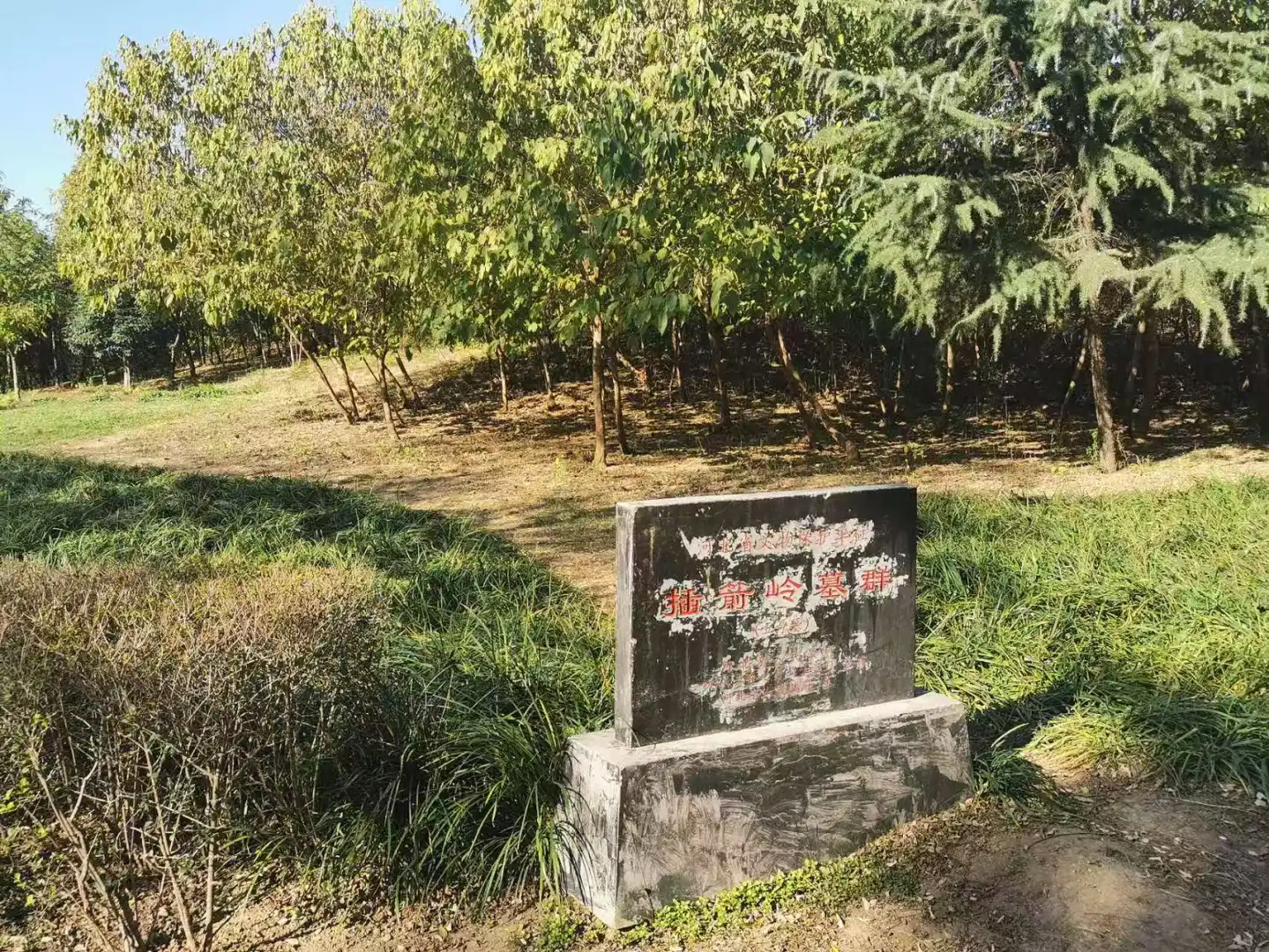 邯郸陪玩、博物馆讲解