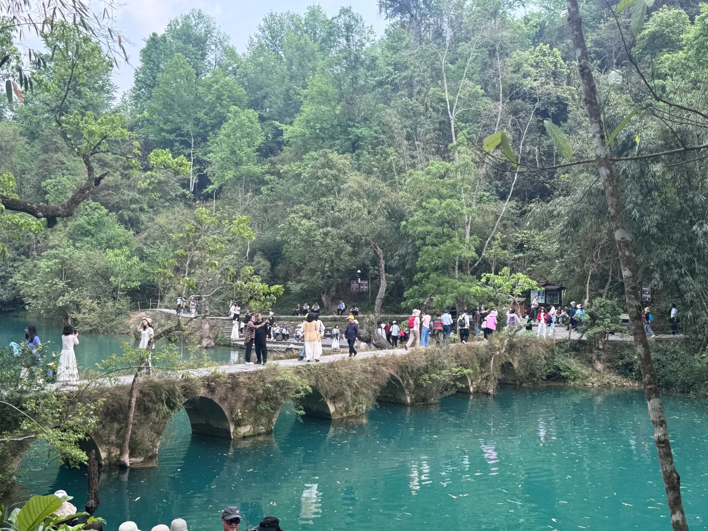 荔波小七孔🍃