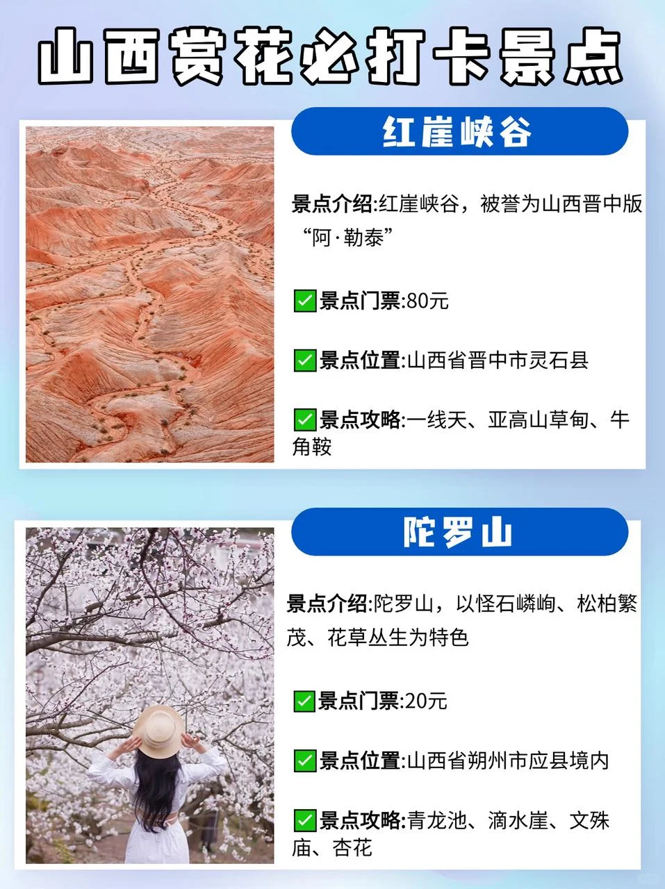 春日限定！花海里的古建拍照趠絶！