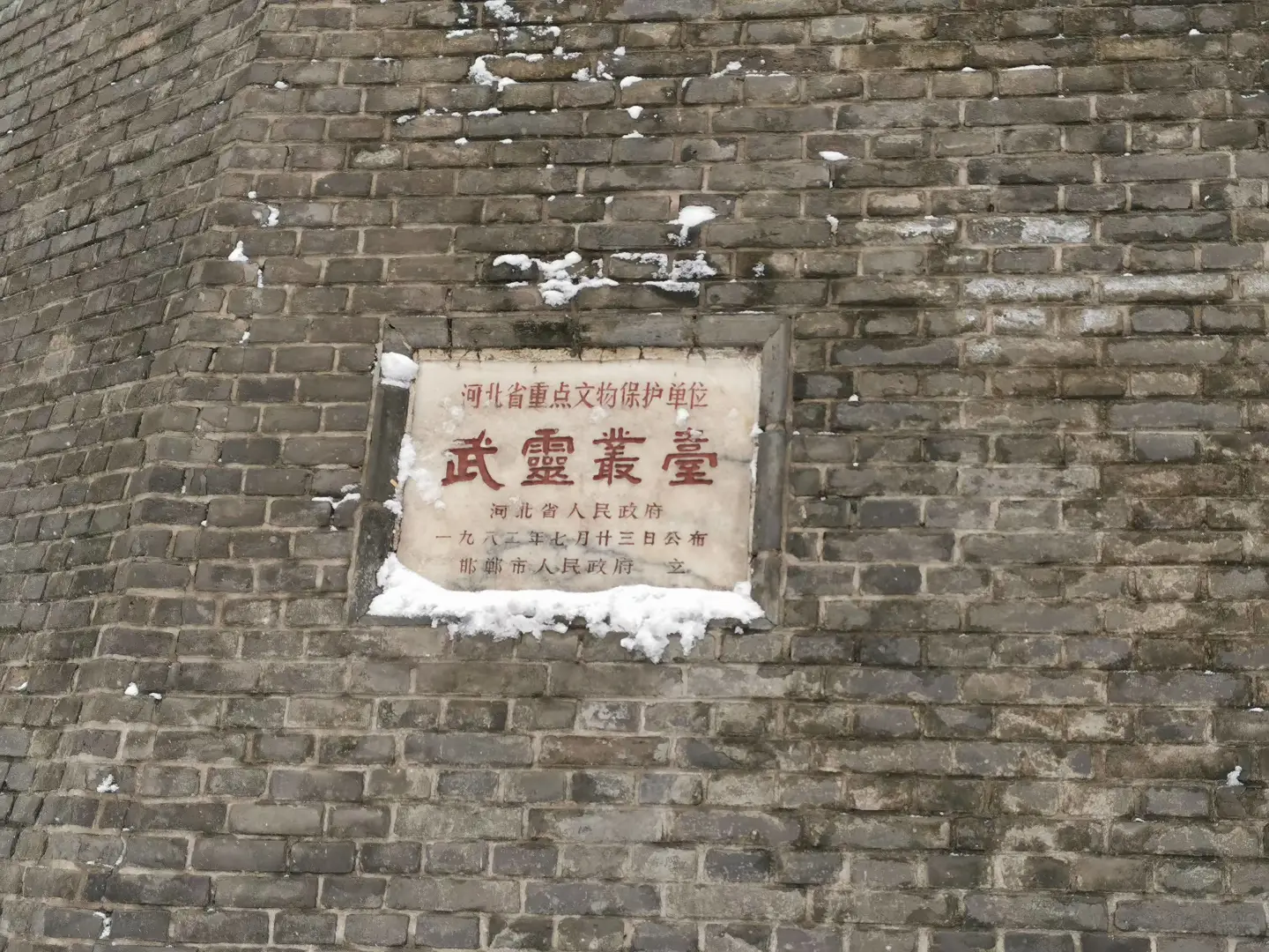 邯郸陪玩、博物馆讲解