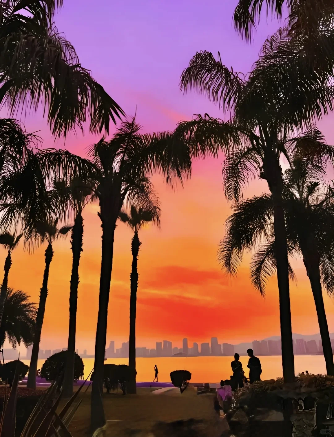 厦门 | 一场浪漫的海滨之旅🌊 保姆级攻略📖