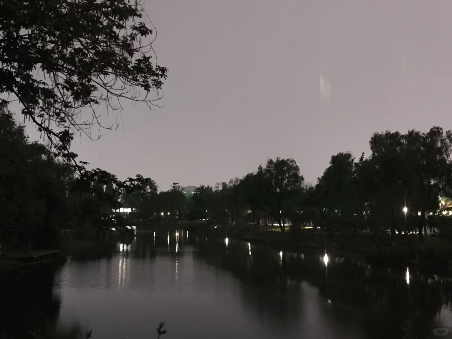 又幸福住了
