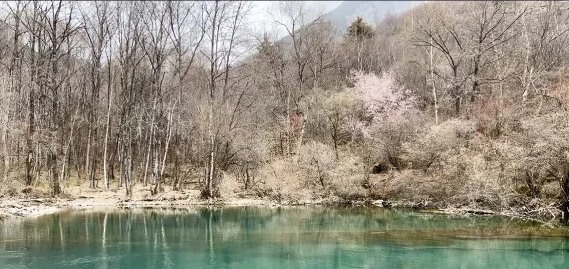 茂县小众景点松坪沟包车一日游！