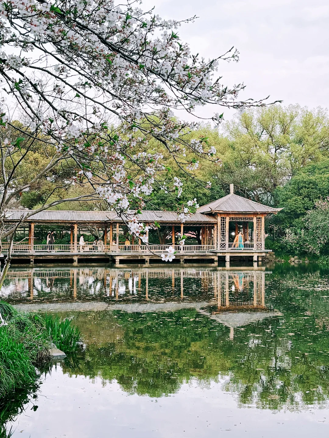 杭州一日游必去景点推荐｜照搬这篇旅游攻略