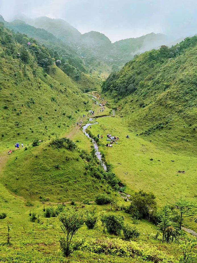 放弃了武功山，广东这9大高山草甸太绝了！