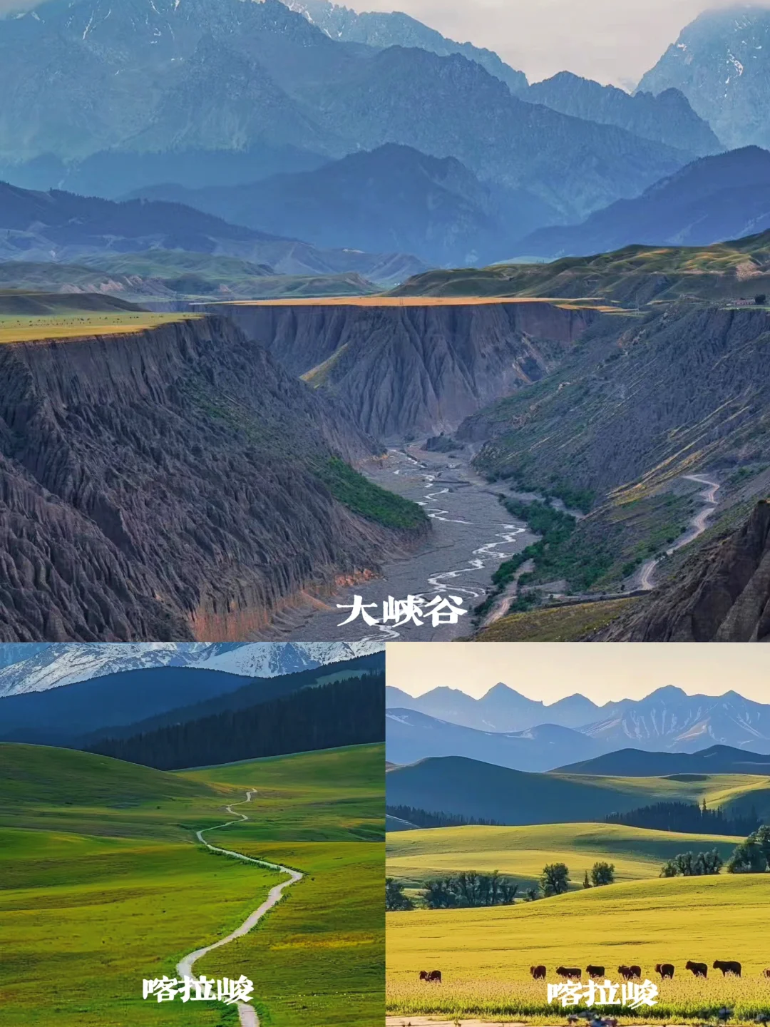 北疆8日轻奢 头等舱 景区5钻住宿 轻旅拍玩