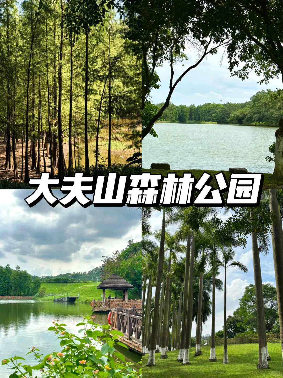 🎈周末出行｜广州番禺免费好玩的九个地方