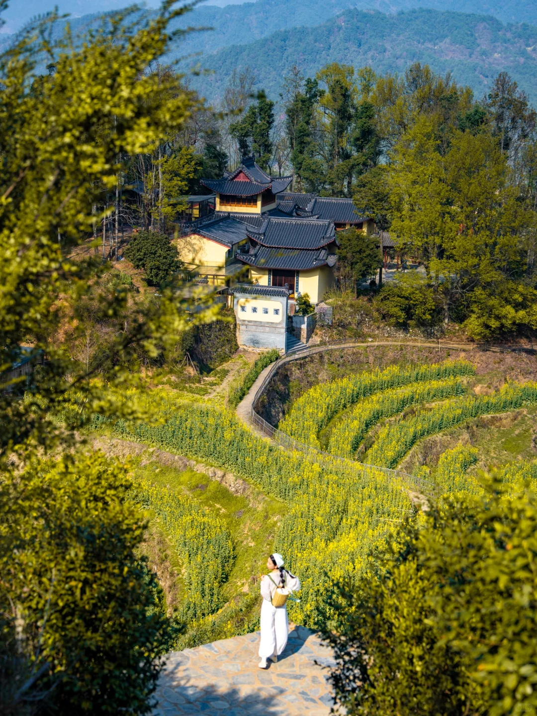 才去看油菜花，篁岭会惩罚每个不做攻略的人