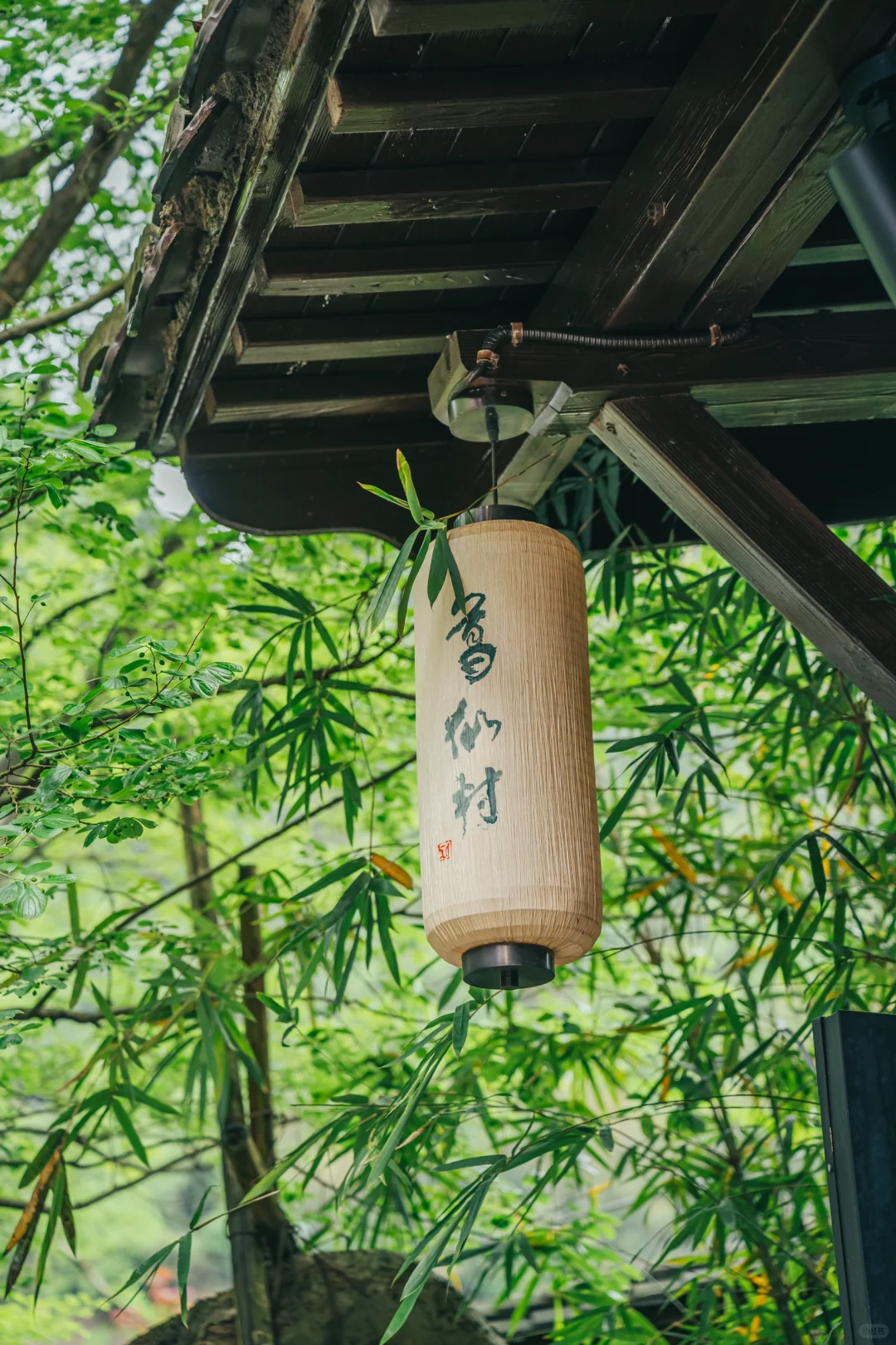 一定要去‼葛仙村简直是AI笔下的莫奈花园😭