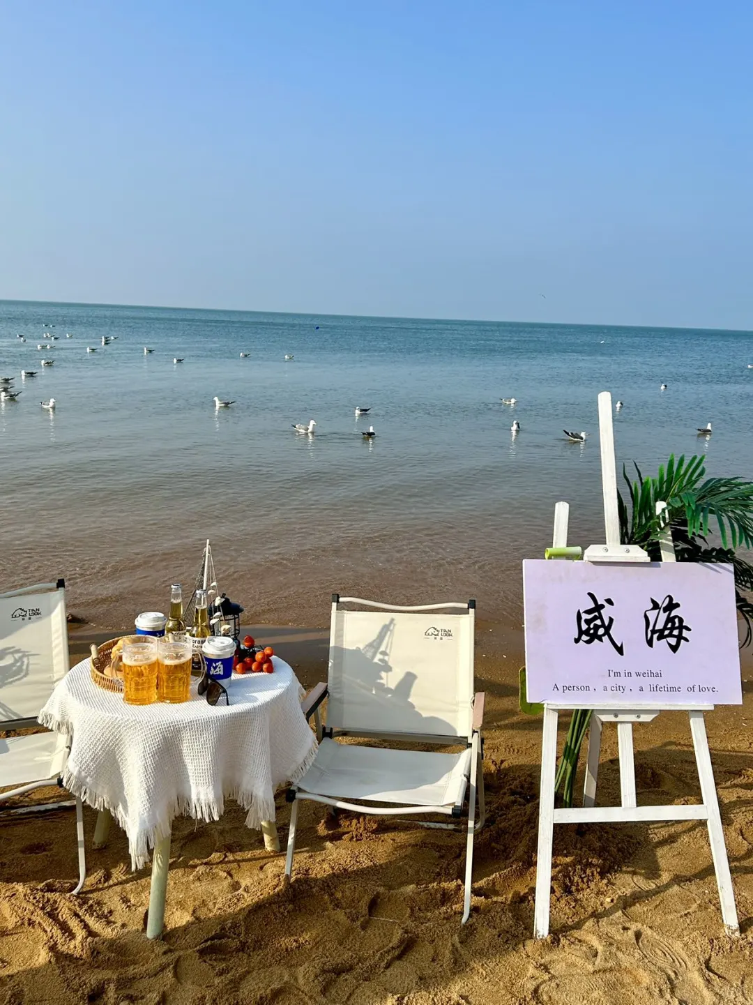 威海旅游攻略 | 景点与美食的梦幻联动✨