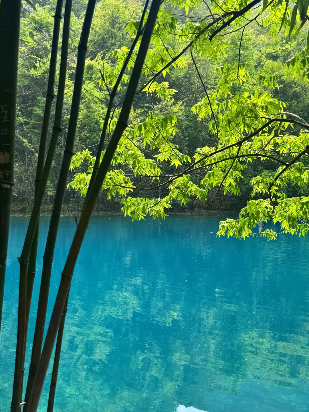 荔波小七孔🍃