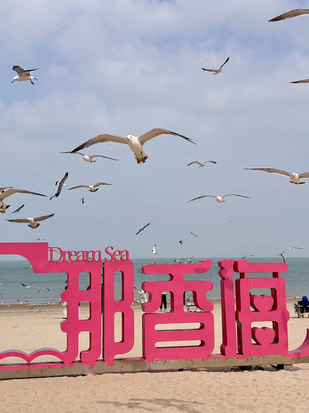 威海旅游攻略 | 景点与美食的梦幻联动✨