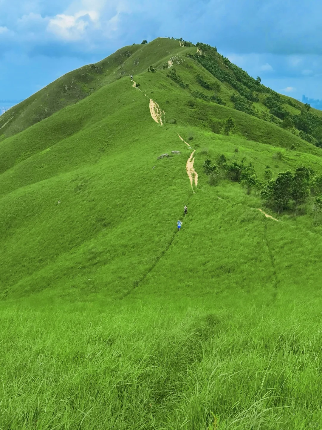 放弃了武功山，广东这9大高山草甸太绝了！
