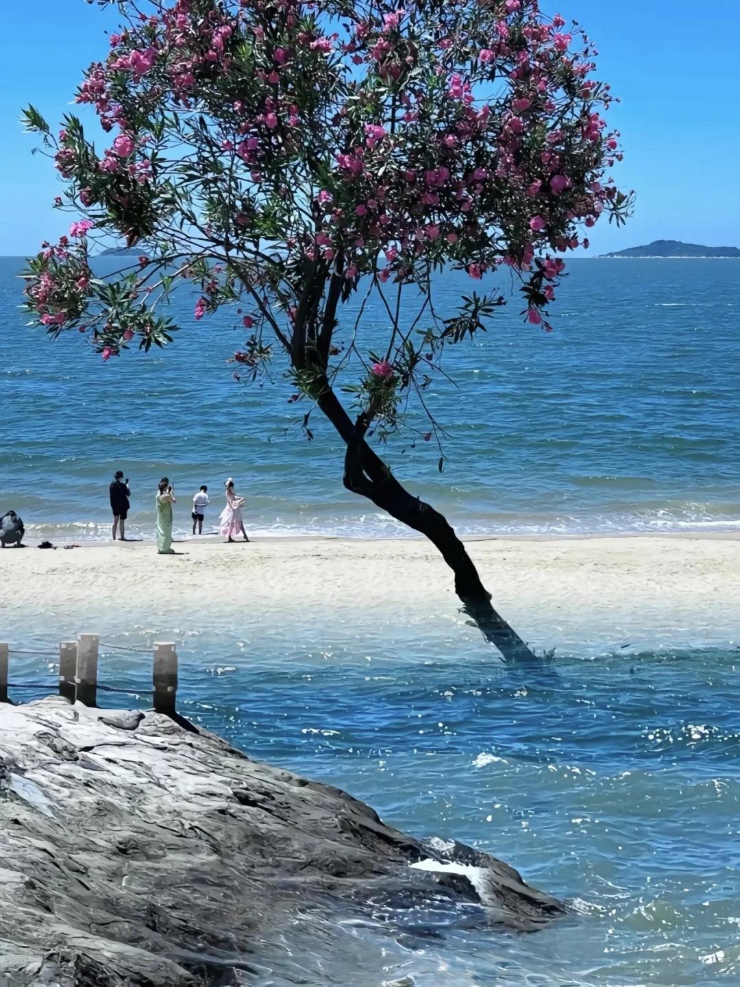 厦门 | 一场浪漫的海滨之旅🌊 保姆级攻略📖