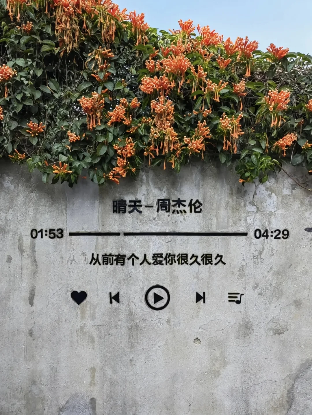厦门 | 一场浪漫的海滨之旅🌊 保姆级攻略📖