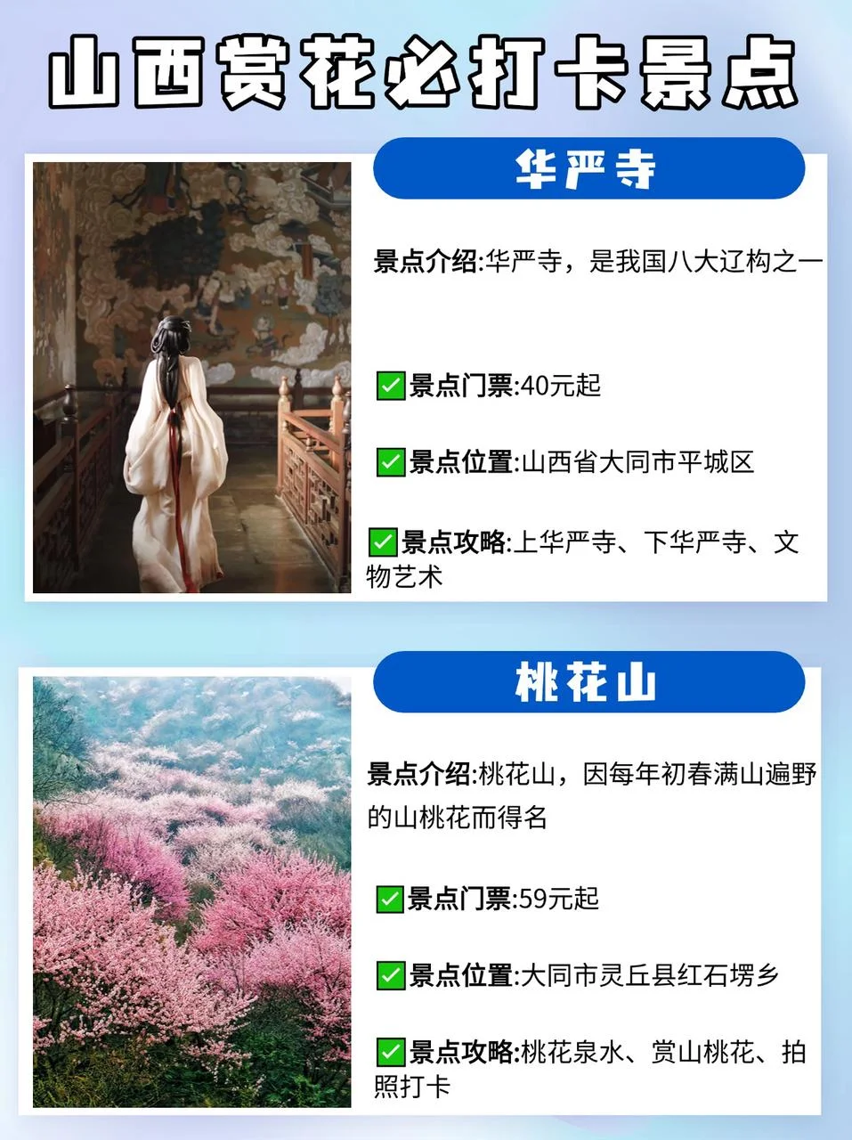 春日限定！花海里的古建拍照趠絶！