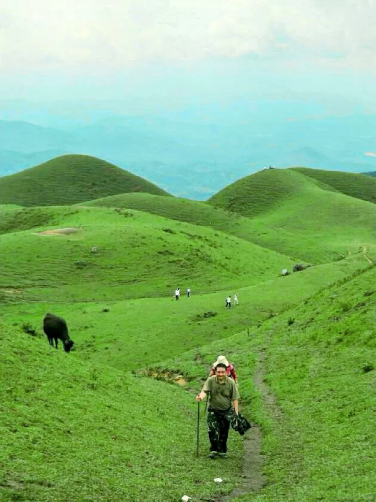放弃了武功山，广东这9大高山草甸太绝了！