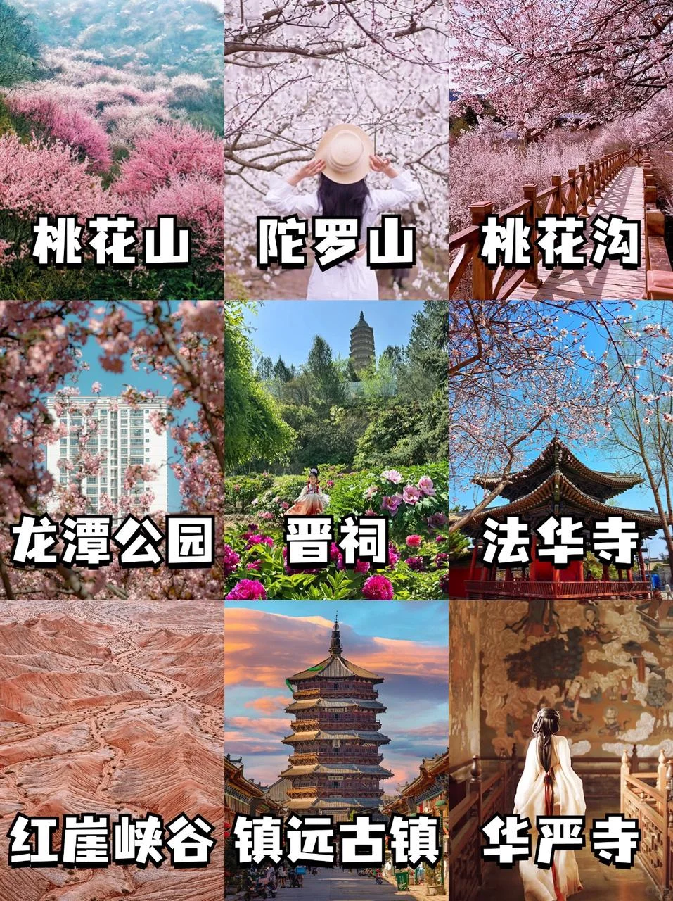 春日限定！花海里的古建拍照趠絶！