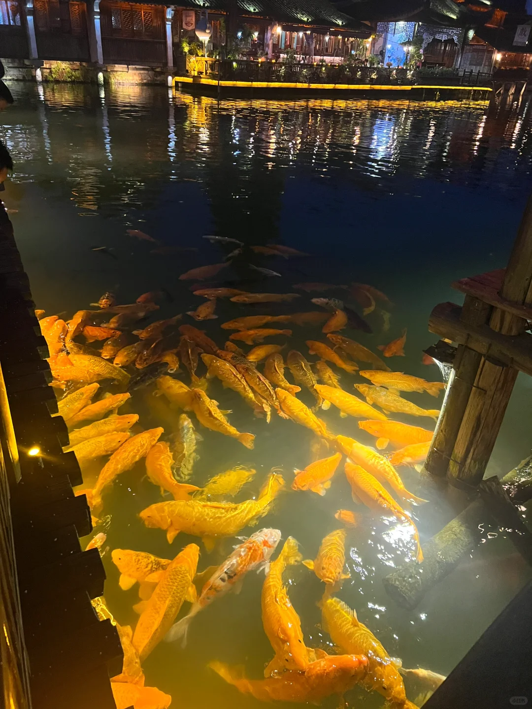 浙江｜乌镇｜江南水乡
