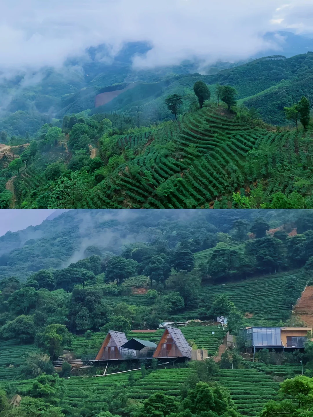 和闺蜜二刷清远！！可以泡私汤的茶山泉居！
