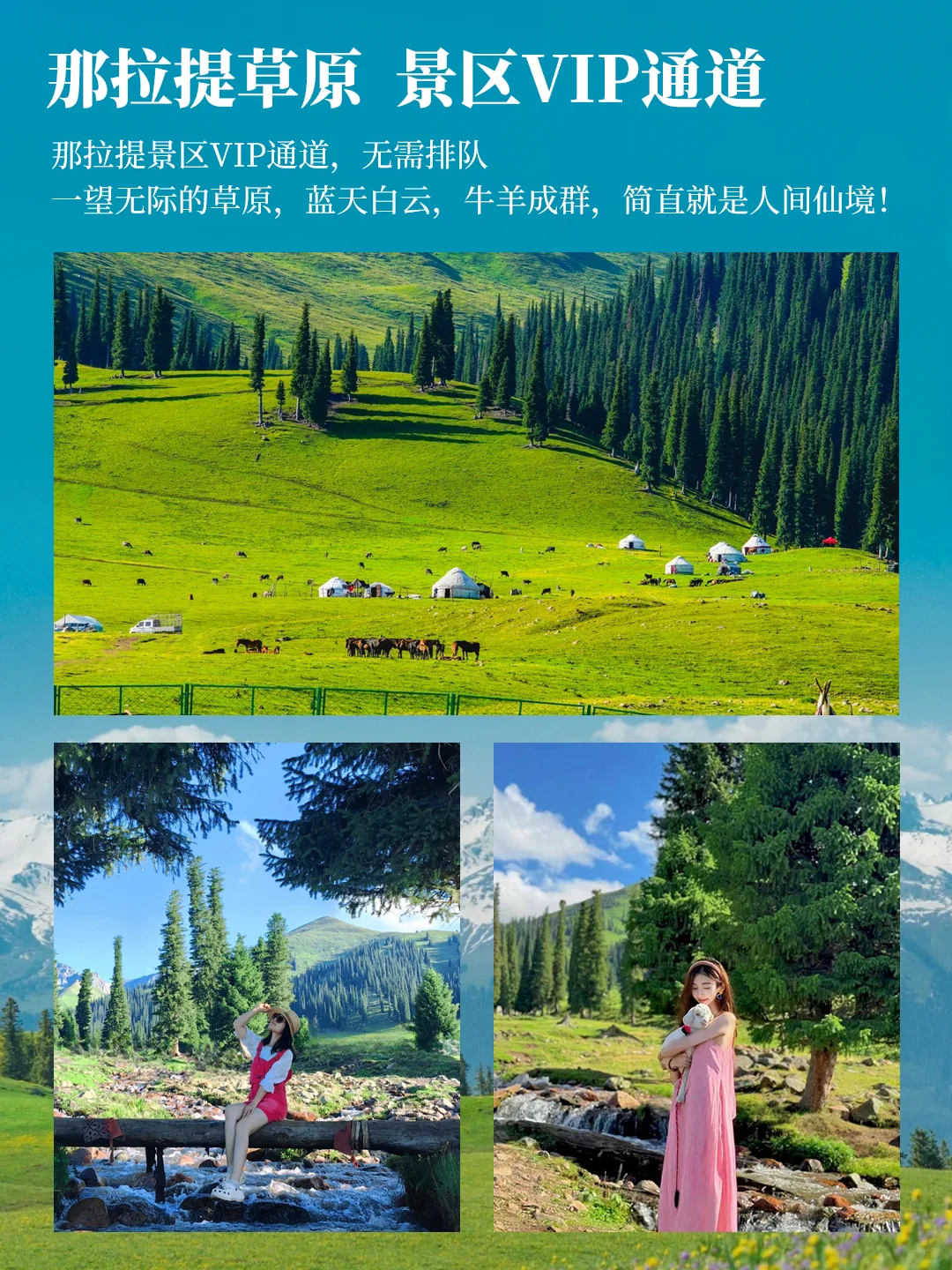 5-8月北疆伊犁轻奢8日🌲住景区 人均4K+