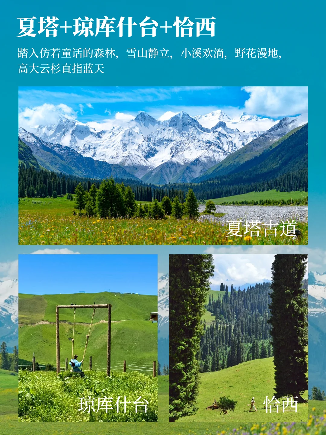 5-8月北疆伊犁轻奢8日🌲住景区 人均4K+
