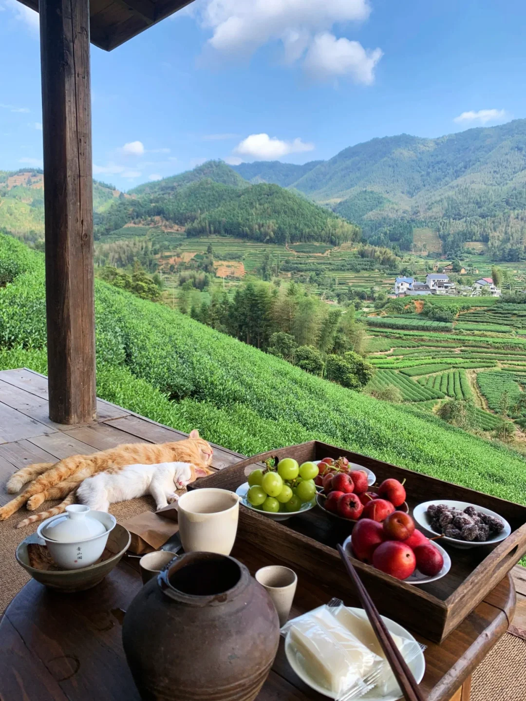 和闺蜜二刷清远！！可以泡私汤的茶山泉居！