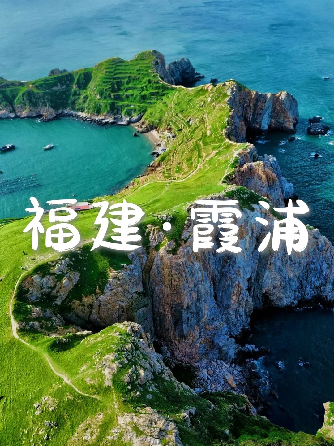 国内6个封神级花海，美到窒息想私奔
