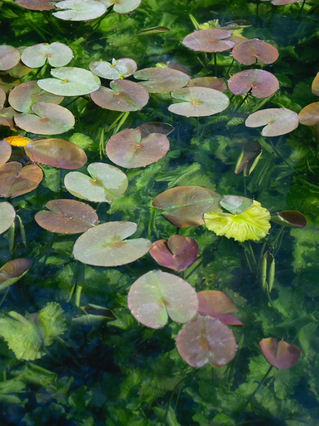 杭州|建议感觉能量低的人都走一下这个路线