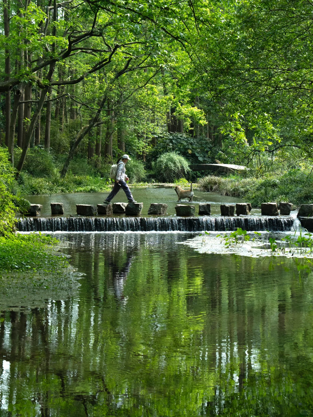 杭州|建议感觉能量低的人都走一下这个路线