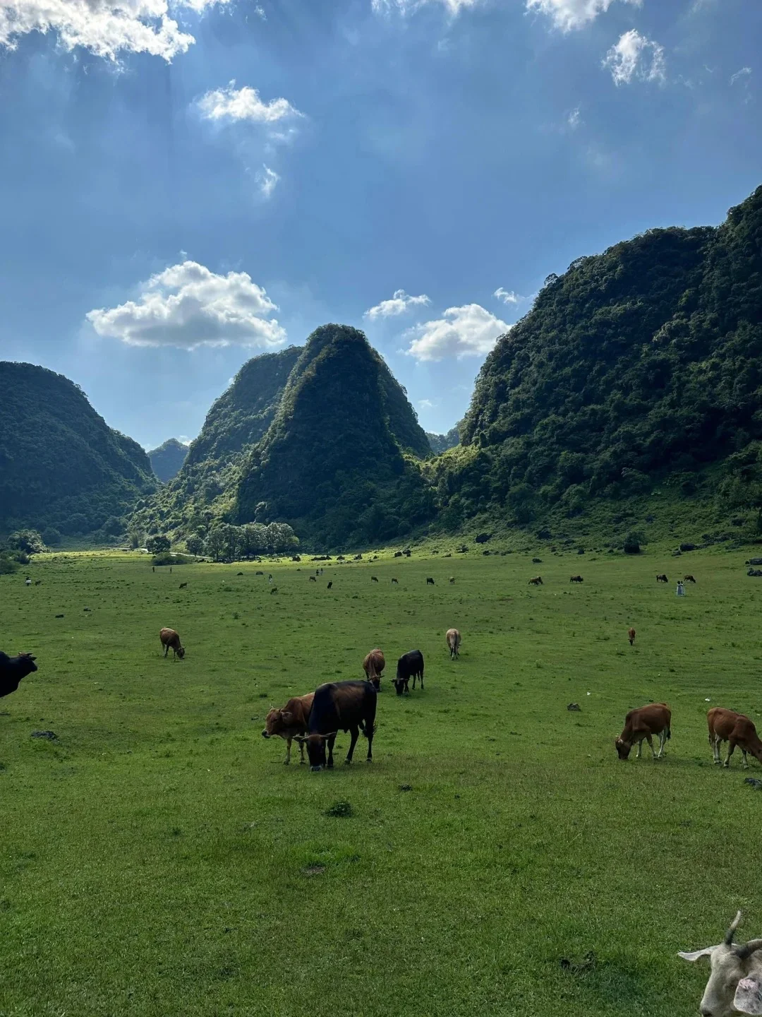 和老公去了崇左,真的和新西兰一样震撼!