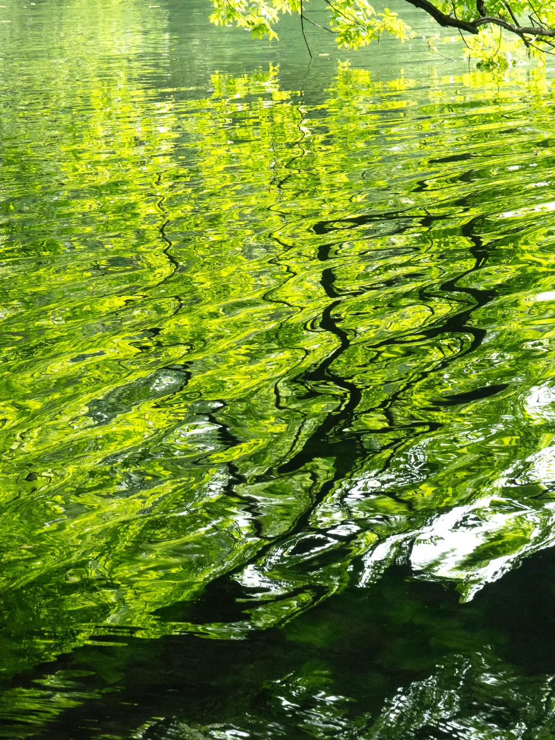 杭州|建议感觉能量低的人都走一下这个路线