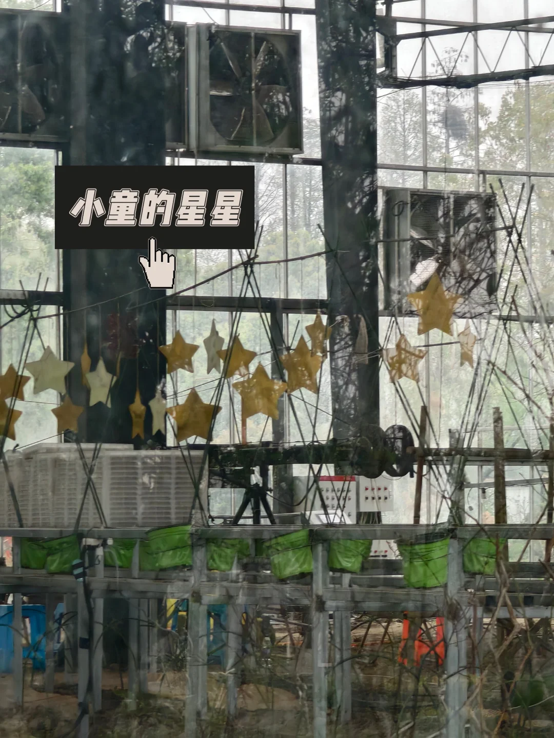 杭州旅游攻略体验分享