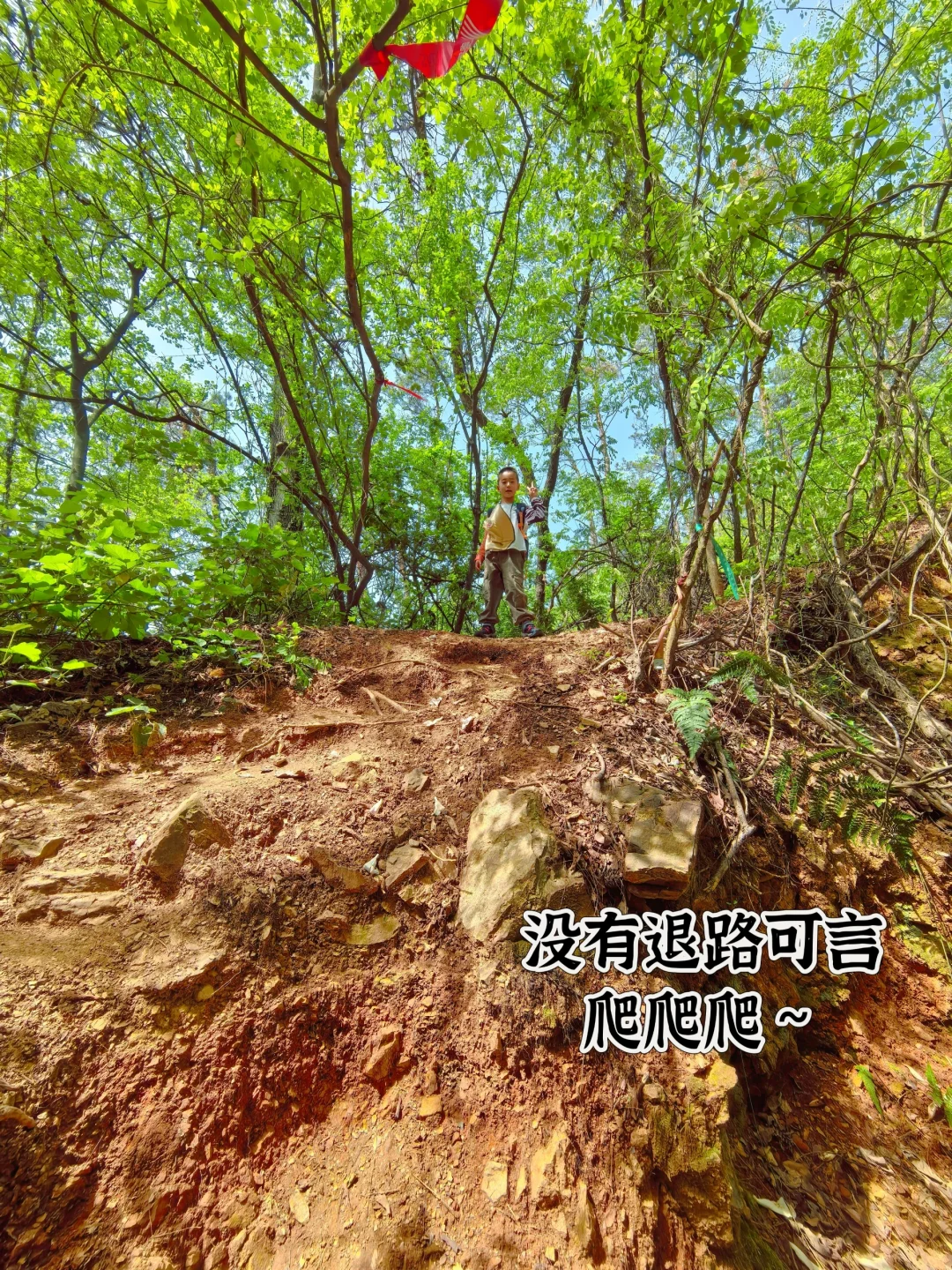 九真山小环线vs景区，哪个更适合带孩子