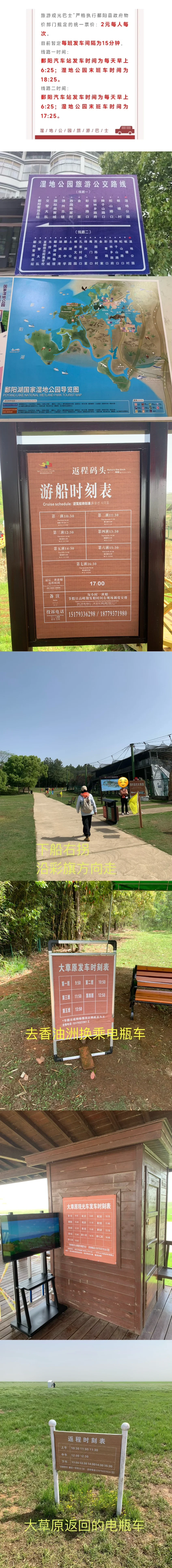 鄱阳湖大草原牛马到此一游