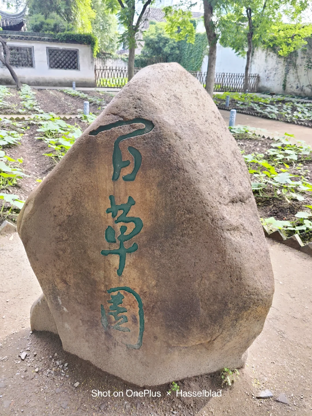 绍兴一日游