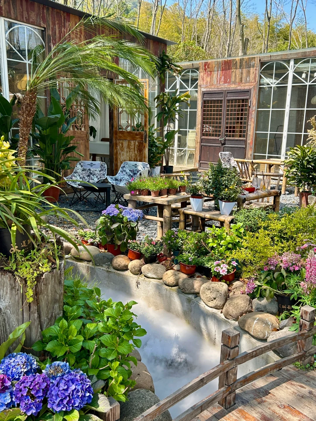 接下来的苏州将美成这样❗️（live）