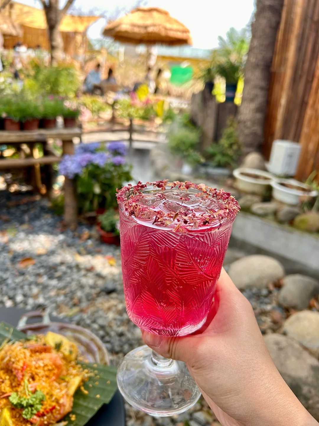 接下来的苏州将美成这样❗️（live）