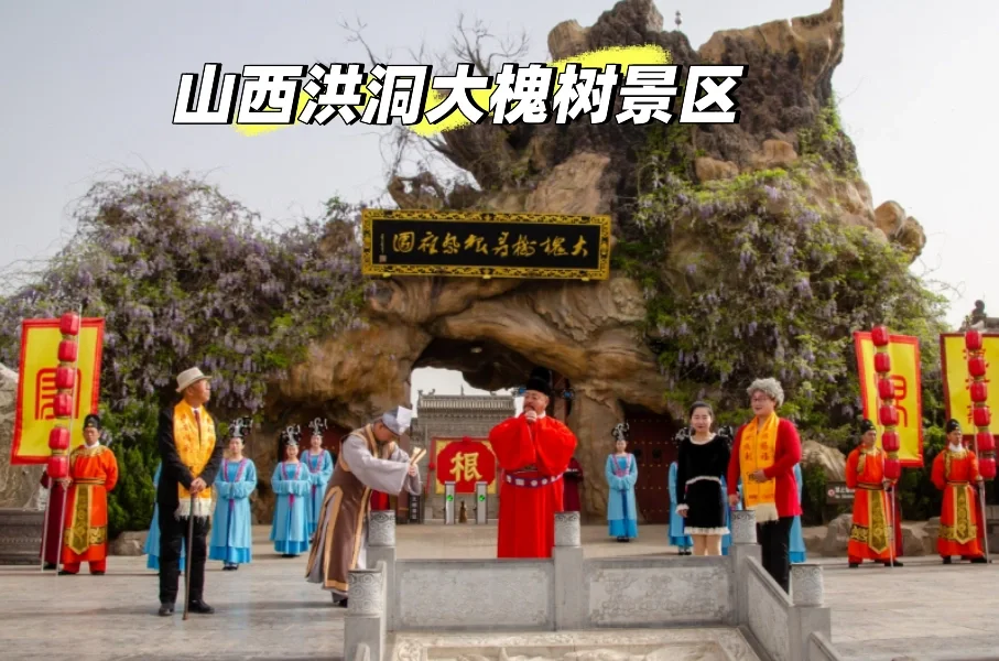【穿越明朝迎亲礼！洪洞大槐树沉浸式演出全攻