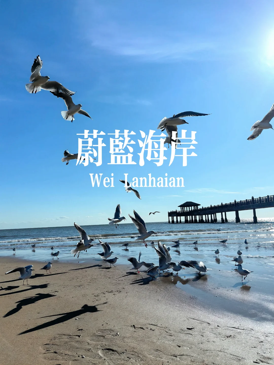 秦皇岛八大打卡点 必出片👌