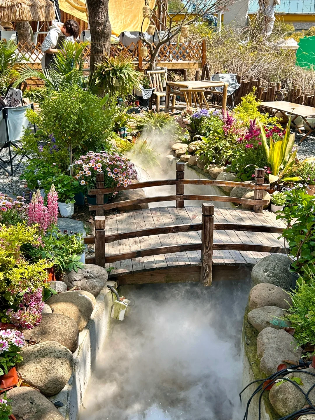 接下来的苏州将美成这样❗️（live）