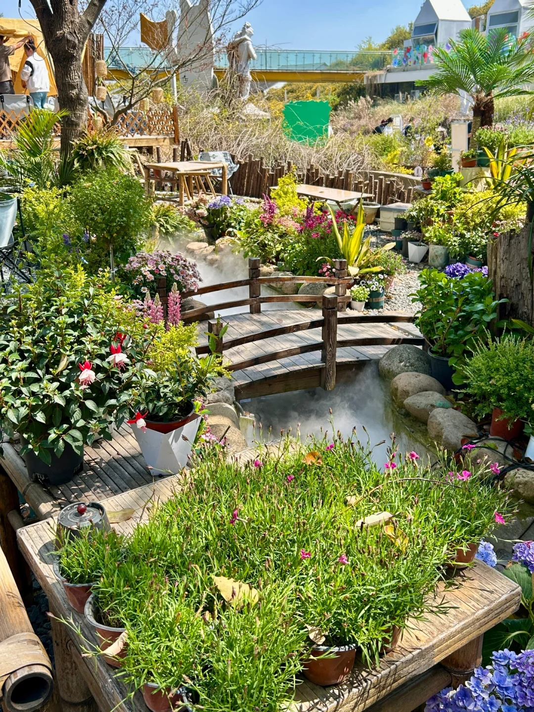 接下来的苏州将美成这样❗️（live）