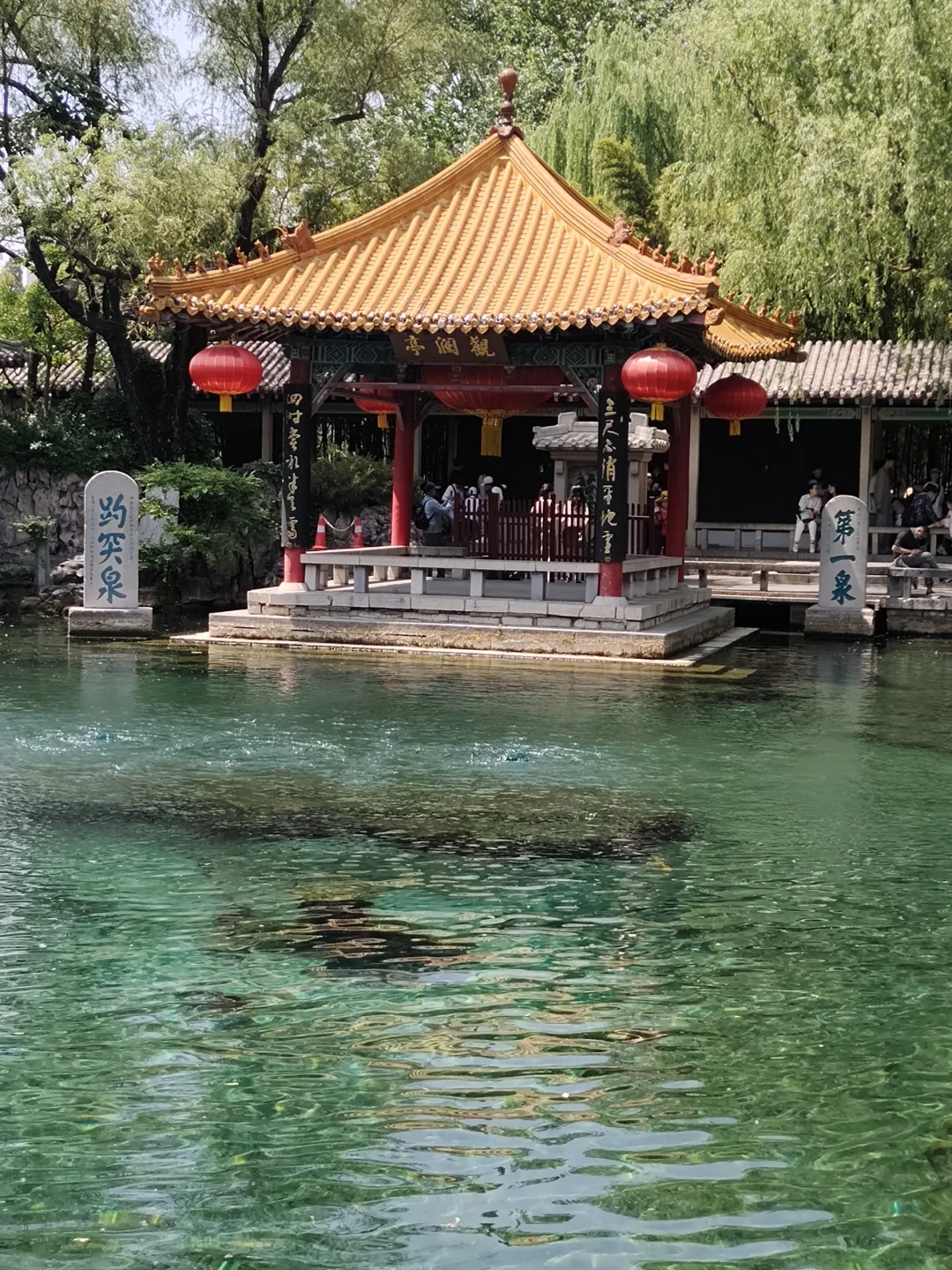 济南柳绿春，来了就不想走