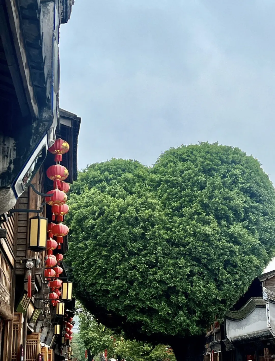 新年旅游第一站🧨福州三天两晚旅游攻略