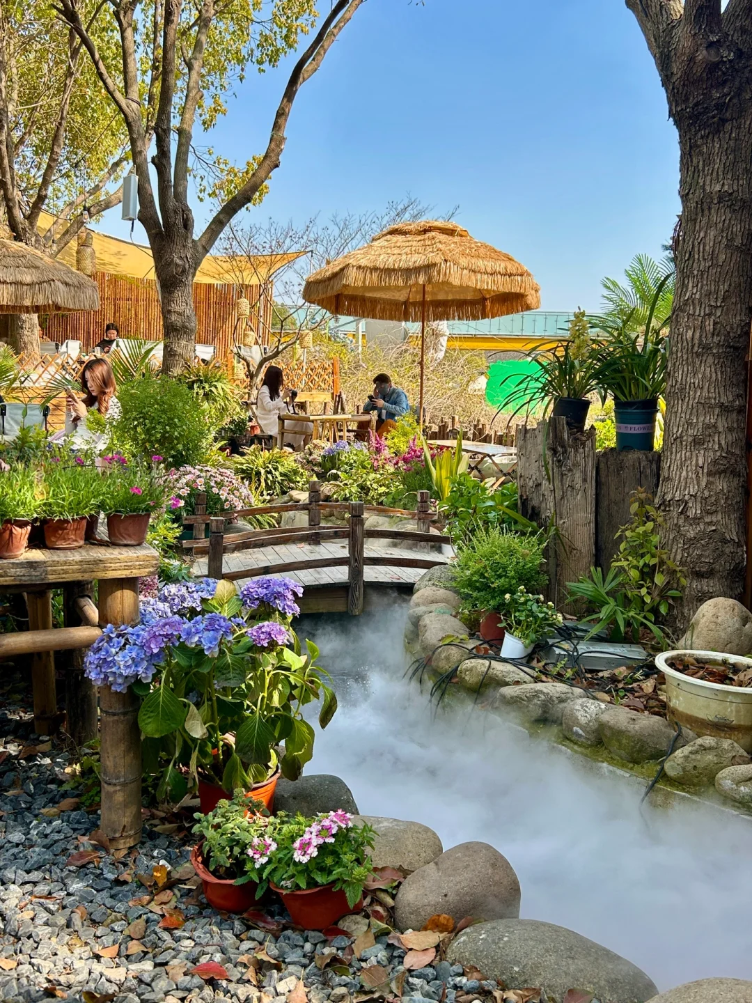 接下来的苏州将美成这样❗️（live）