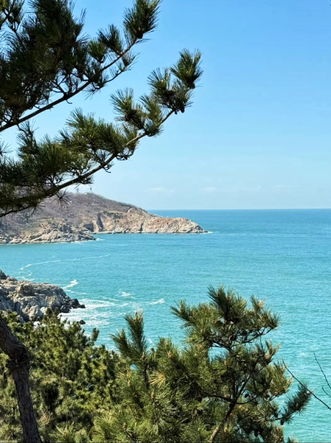 清明结束等五一✨该轮到威海了吧🌊